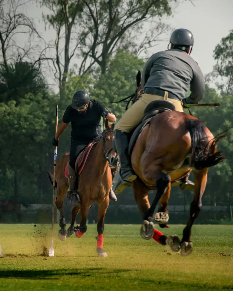 Two polo players on a grass field