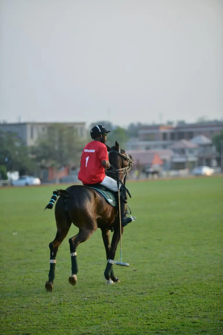 A polo player on a brown horse