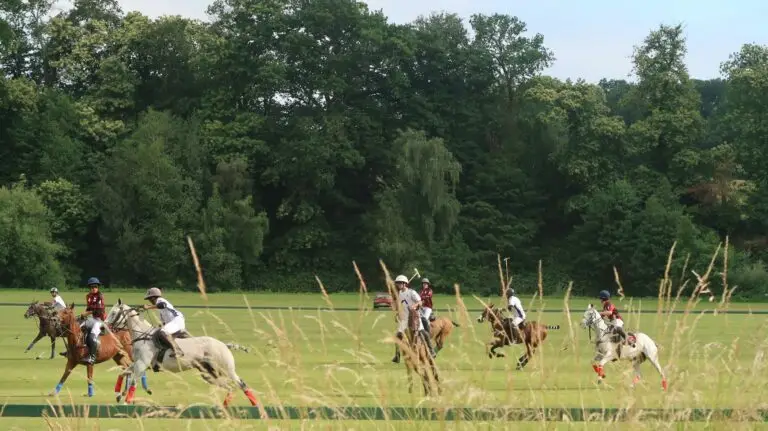 A polo match in progress