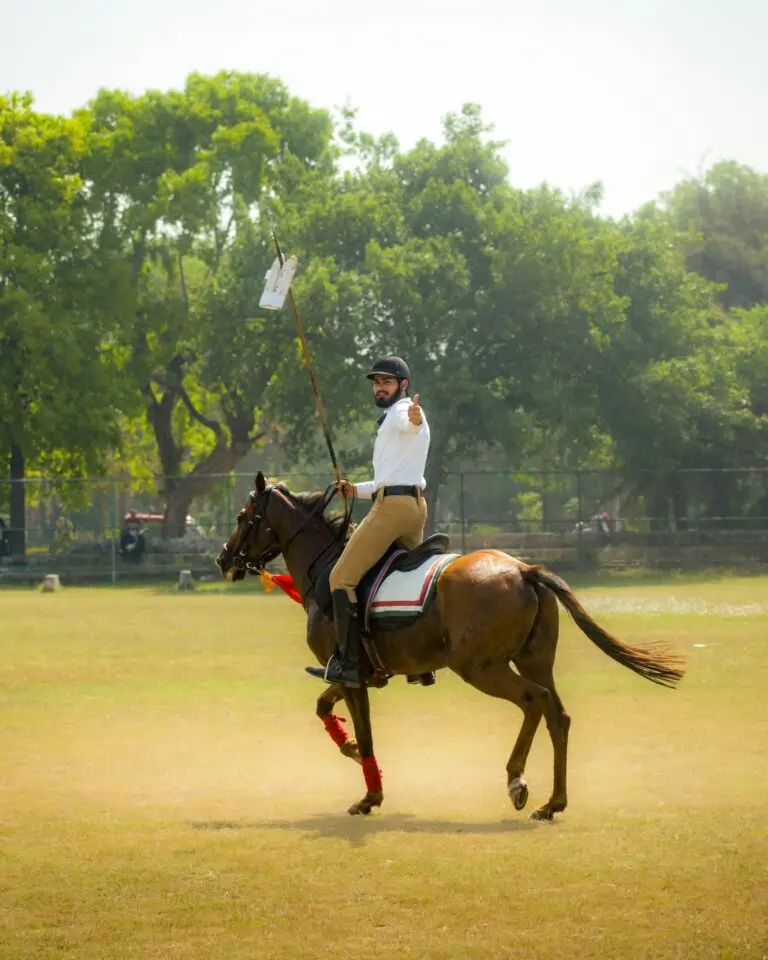 A polo player in team colours on a grass field