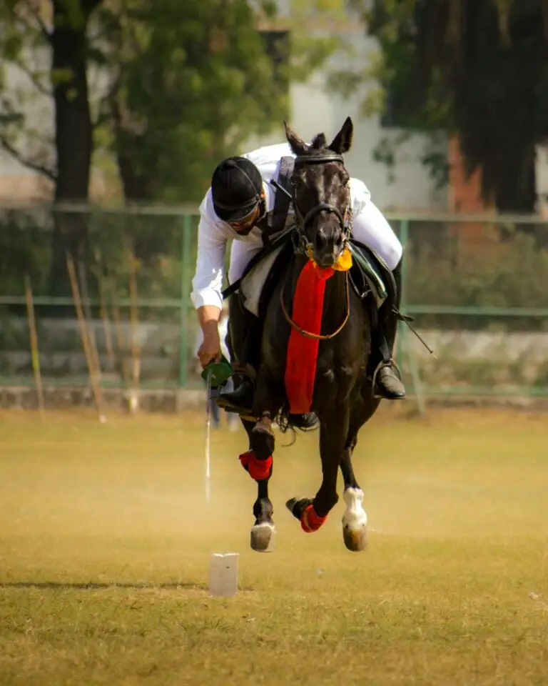 A polo player on a black horse during a match