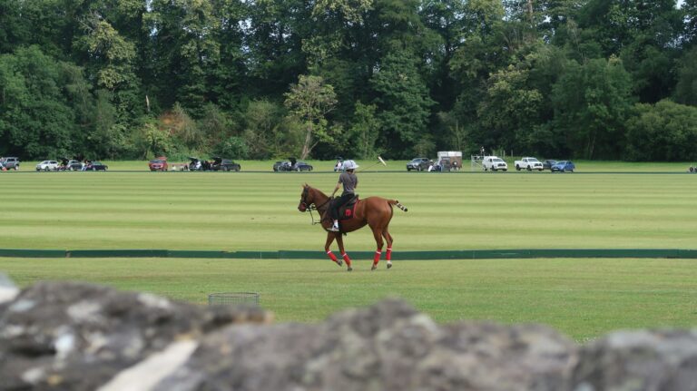A polo rider on a large green field