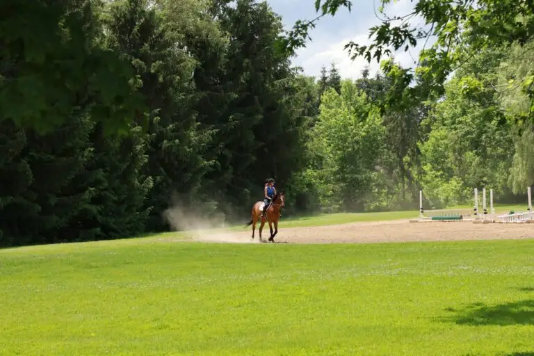 A rider on a green polo field