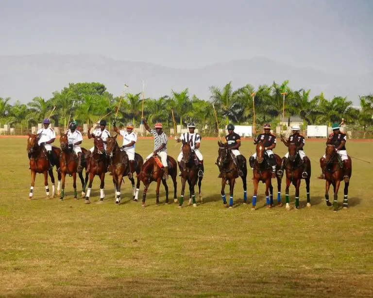 A group of polo players on horseback