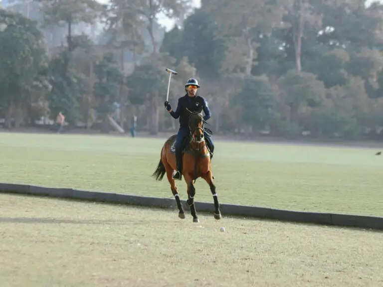 Polo player galloping across a green field