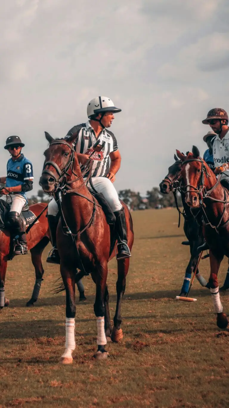 A group of polo players on horseback