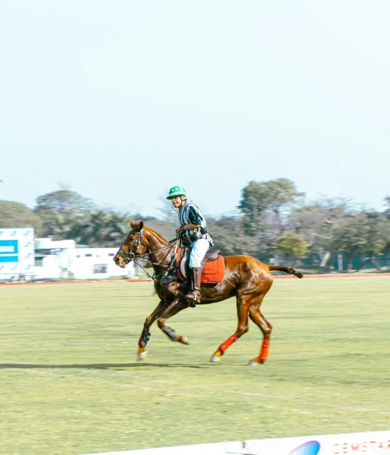 A polo player gallops across a green field
