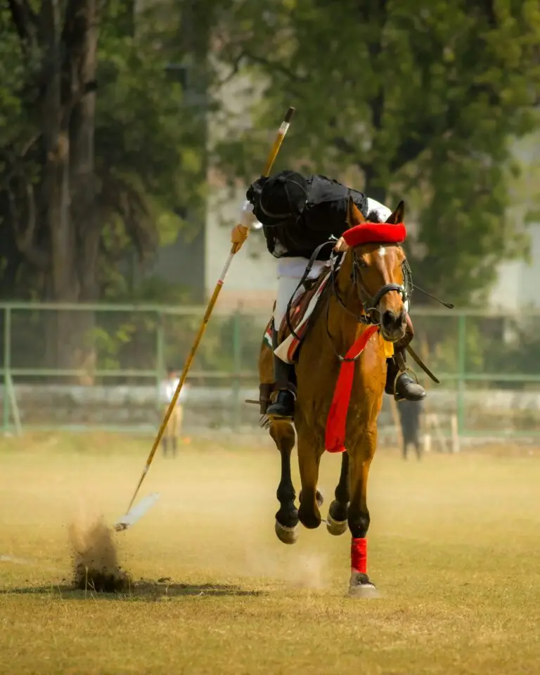 A polo player hitting the ball