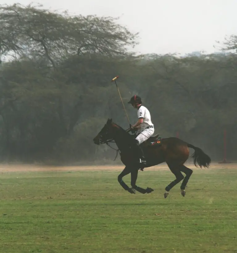 A polo player riding on a green field