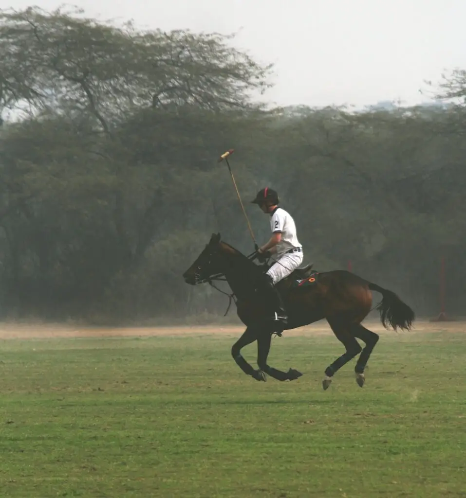 A polo player riding on a green field