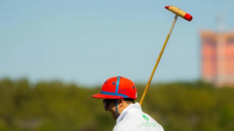 A player holding a polo mallet