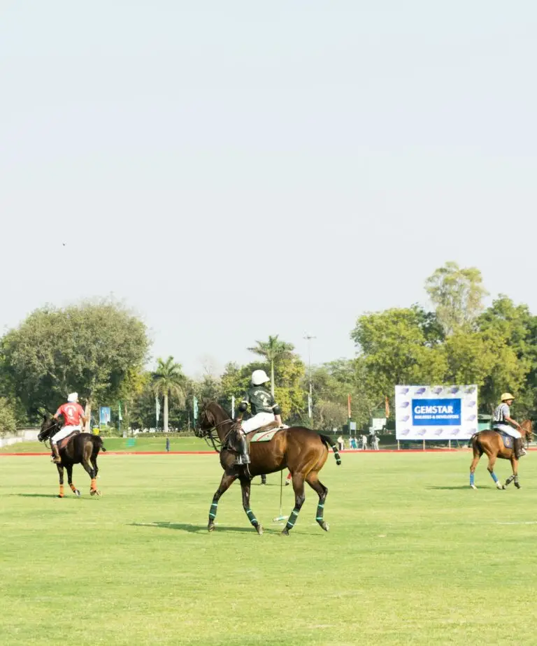 Polo players riding on the field