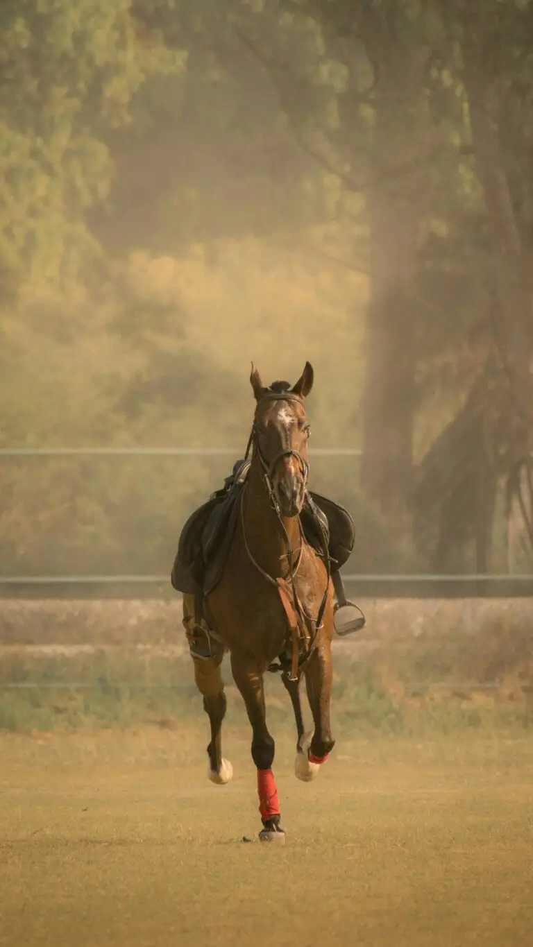 A polo pony galloping on grass