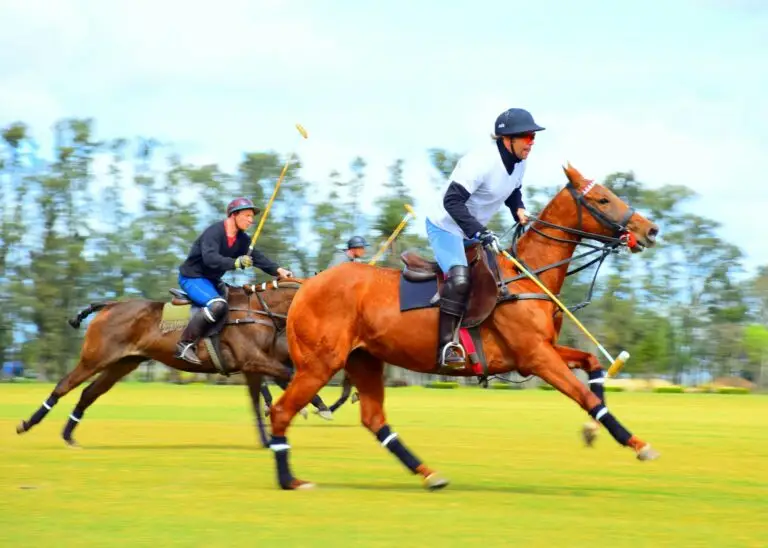 Two polo players riding on a grass field
