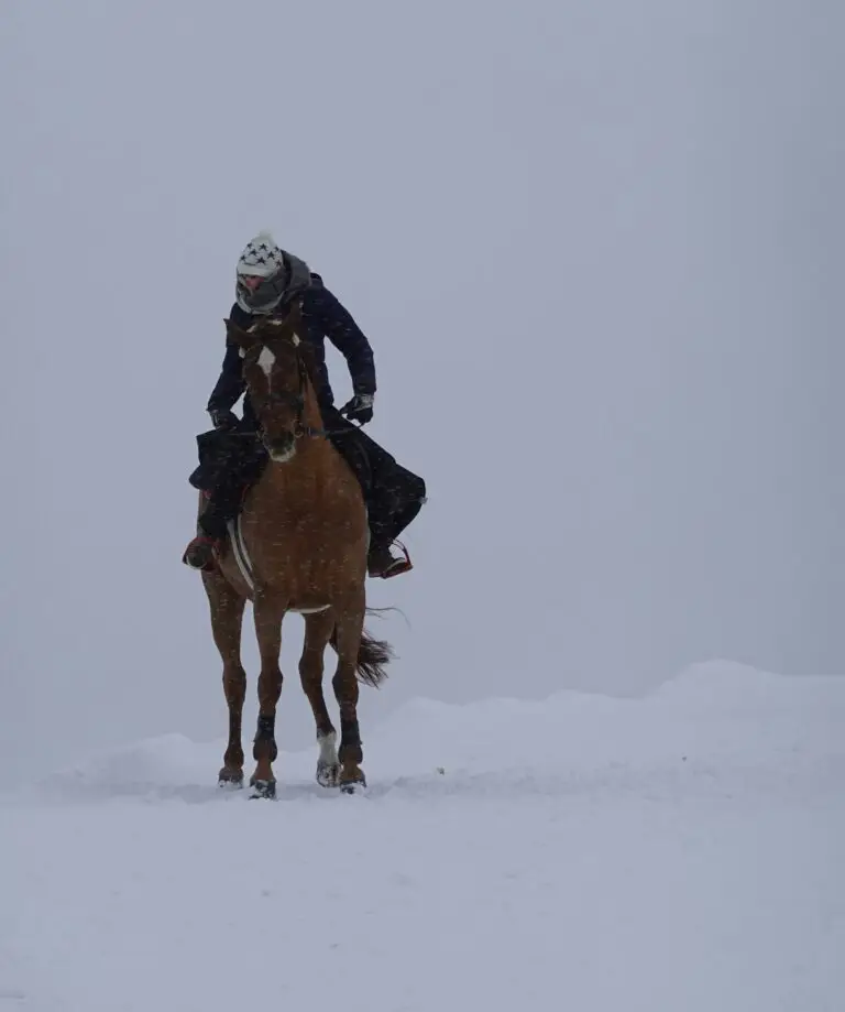 A horse and rider on a snow-covered field