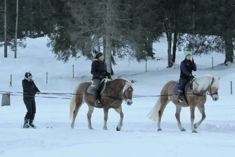 A group of riders on horseback in the snow