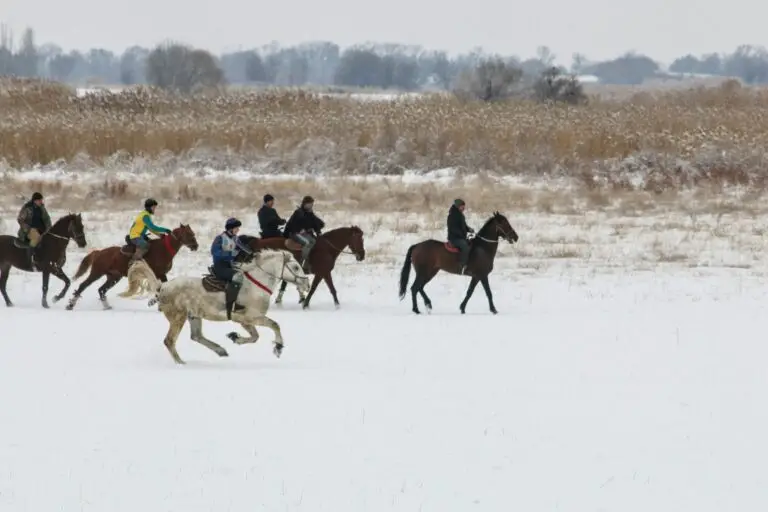 Horses and riders on a snowy field