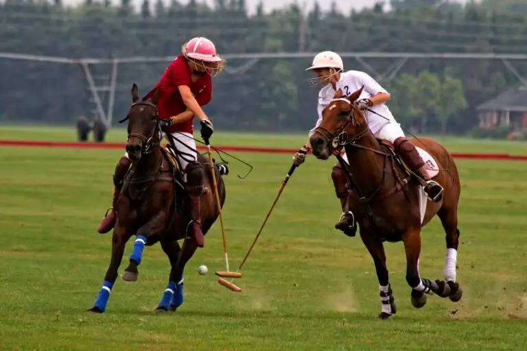 Two polo players competing for the ball